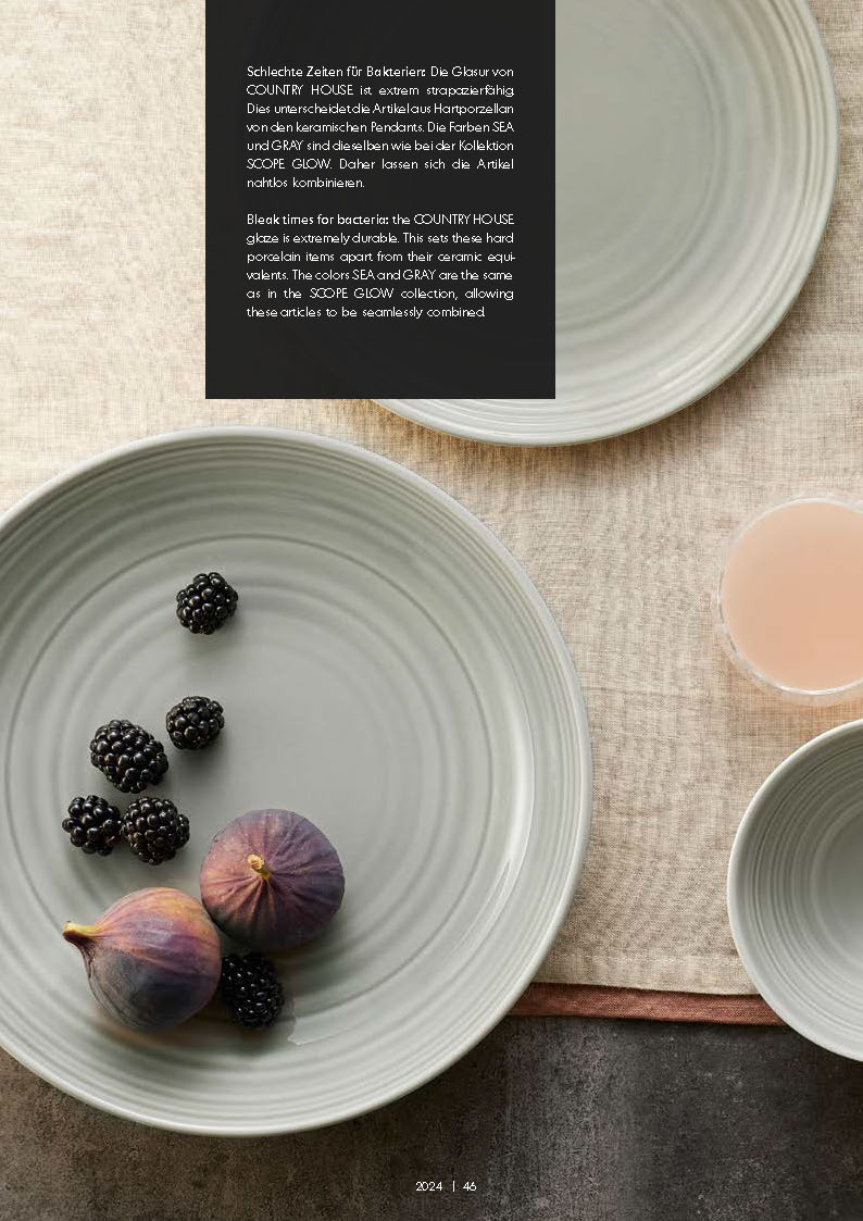 BAUSCHER PLATES 2004-Pngs_Page_048
